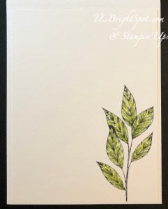 Stampin' Up! Spotlight on Nature card inside