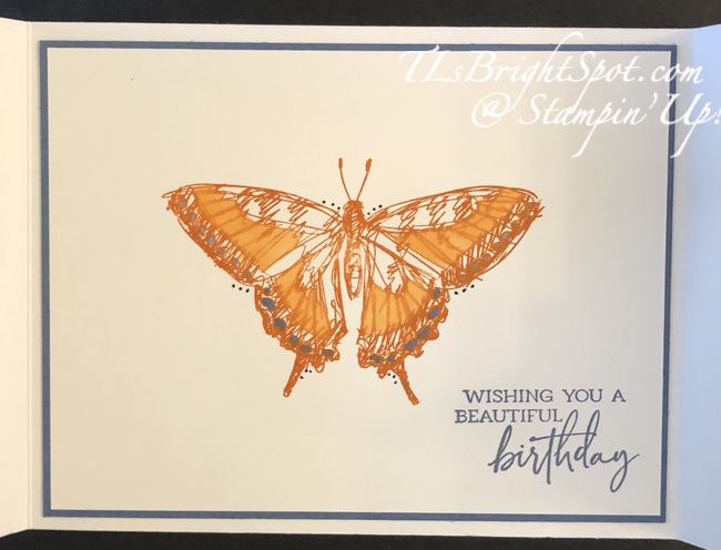 Stampin' Up! Sketched Butterflies, card inside