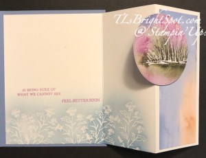 Stampin' Up! Window z-fold and emboss resist technique