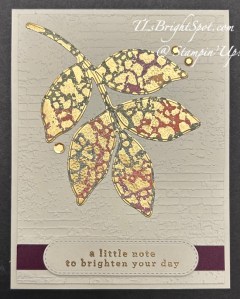 Stampin' Up! Changing Leaves Bundle card front