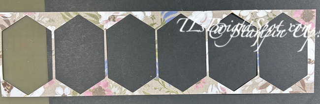 Stampin' Up! Wildflower Designs Dies  from DSP strip