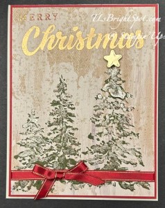 Stampin' Up! Season of Elegance SDSP card front