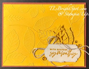 Stampin' Up! Changing Leaves Sympathy Card front
