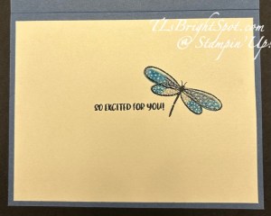 Stampin' Up! Happies Day birthday card inside