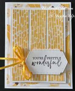 Stampin' Up! 3 Panel DSP cards