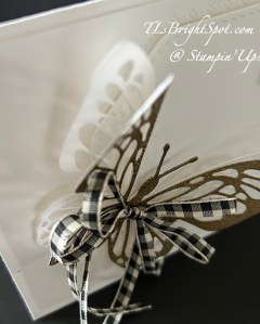 Stampin' Up! Beautiful Butterfly side view of layers