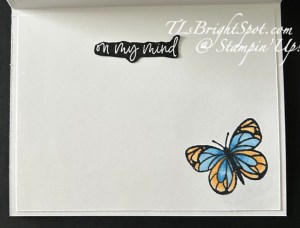 Stampin' Up! Memorable Blooms & Beautiful Butterfly inside of card