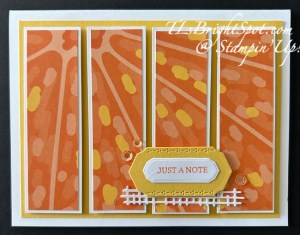 Fruit Salad DSP, Four Panel card