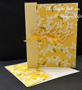 Stampin' Up! Delightful wishes Fun Fold card & envelope