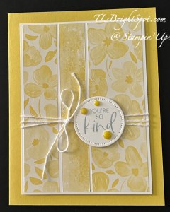 Stampin' Up! Darling Duckling card.2