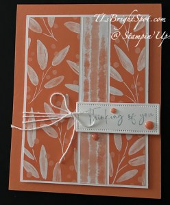 Stampin' Up! Timid Tiger card front.1