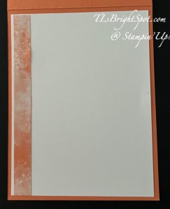 Stampin' Up! Timid Tiger card inside