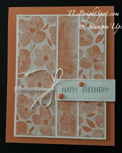 Stampin' Up! Timid Tiger card.2