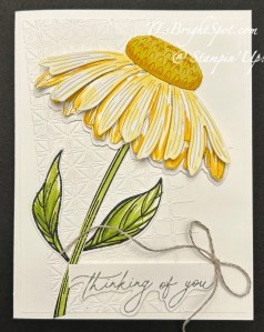 Stampin' Up! Coneflower Celebrations card front