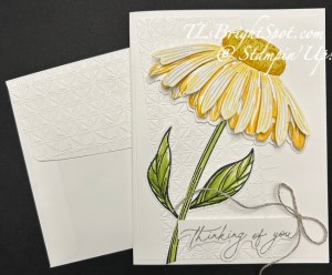 Stampin' Up! Coneflower Celebrations card & envelope
