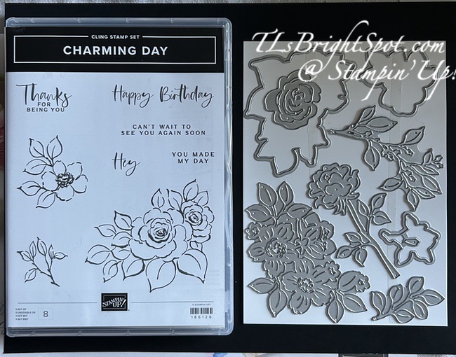 Stampin' Up! Charming Day bundle