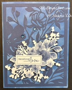 Stampin' Up! Beautiful Blues kit.2