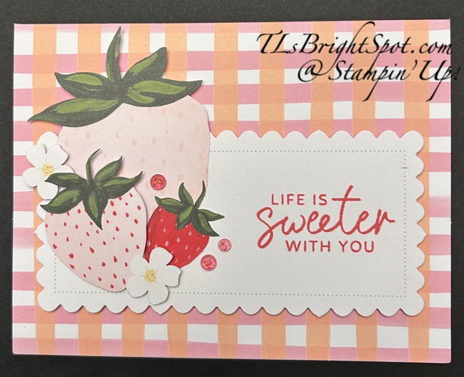 Stampin' Up! July 2025 PP Alternative 2