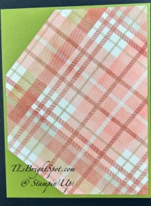 Stampin' Up! Old Olive w/ Timeless Plaid 6x6 DSP