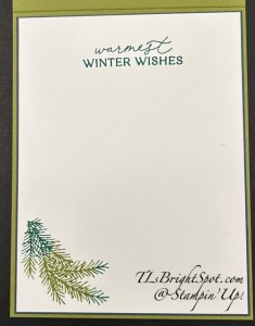 Stampin' Up! Delicate Pines C'mas card inside