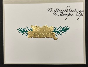 Stampin' Up! Patterned Tags Dies card inside