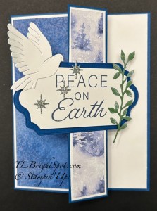 Stampin' Up! Peace on Earth w/ Winter Meadow DSP card front