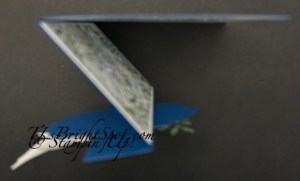 Stampin' Up! Peace On Earth Fun Fold