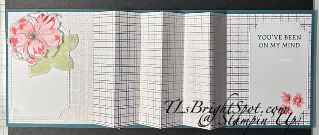 Stampin' Up! Regal Distressed Patterns accordion folkd with Pearls of Beauty 