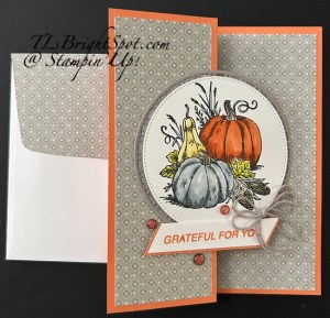 Stampin' Up! Amber Sutumn z fold card & envelope