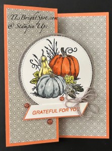 Stampin' Up! Amber Autumn Z fold card front