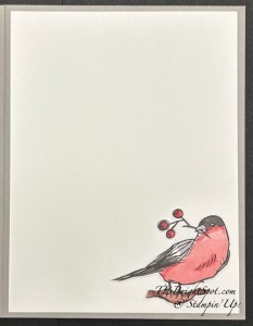 Stampin' Up! Nests of Winter DSP, inside card