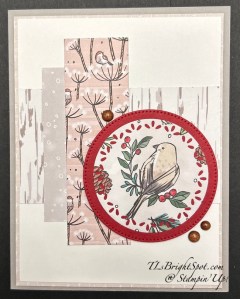 Stampin' Up! Nests of Winter DSP card front