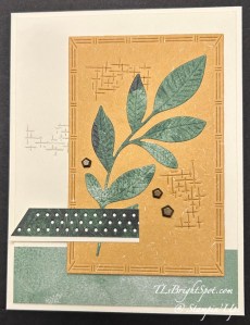 Stampin' Up! Nature's Symphony card front