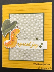 Stampin' Up! Sweet Bugs card front
