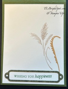 Stampin' Up! Delicate Wishes bundle, inside card