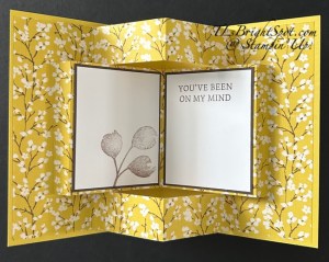 Stampin' Up! Pop-Up Book Fun Fold, inside card 1