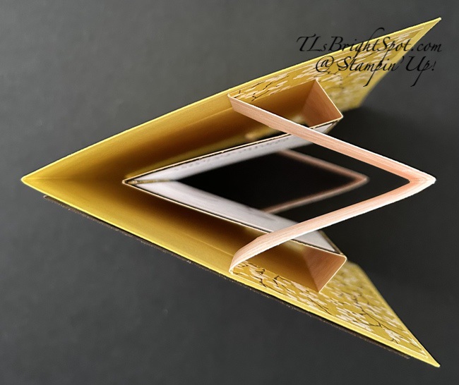 Stampin' Up! Pop-Up book fun fold, closed