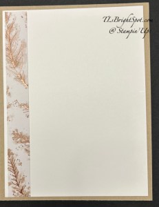 Stampin' Up! Delicate Wishes feel better card inside