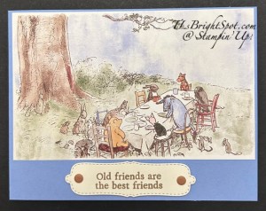 Stampin' Up! Silly Old Bear card front