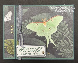 Stampin' Up! Moonlit Flora DSP in a book fold