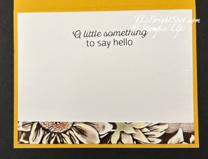 Stampin' Up! Sunflower 3D card inside