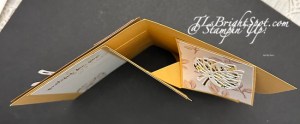 Stampin' Up! from the top view Pop-Up Fun fold