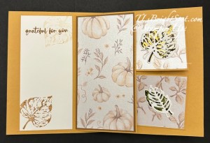 Stampin' Up! inside of Pop-Up fun fold