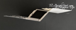 Stampin' Up! double z-fold from the top